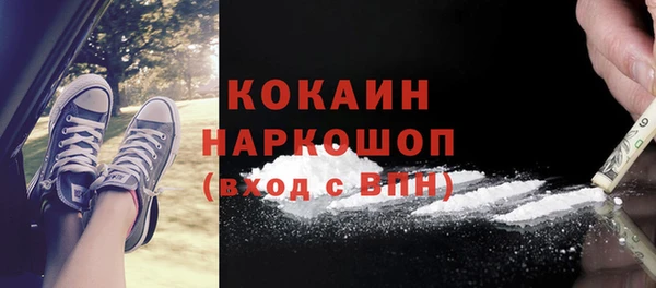 прущие грибы Балабаново
