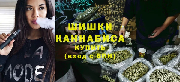 прущие грибы Балабаново