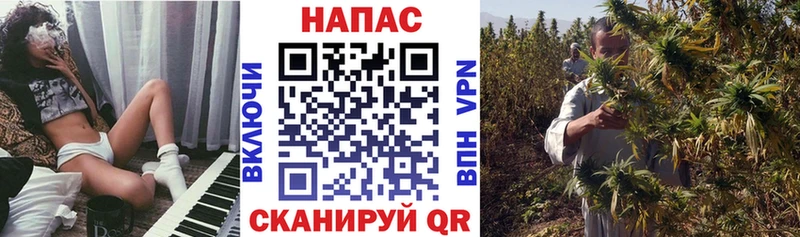 Бошки Шишки гибрид Шумиха